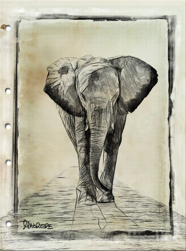 Unbelievable Collection of Desktop Wallpapers 39 (177)